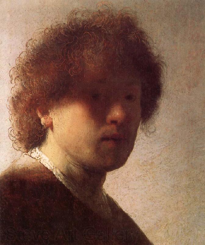 Rembrandt van rijn The eyes-fount of fascination and taboo Norge oil painting art